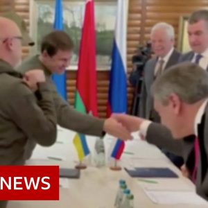 Peace talks between Ukraine and Russia under way in Turkey - BBC News