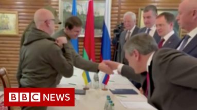 Peace talks between Ukraine and Russia under way in Turkey - BBC News