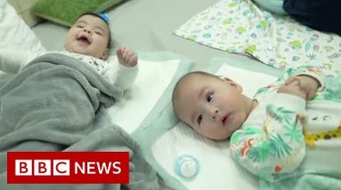 Surrogate babies wait for parents in Ukraine bomb shelter - BBC News