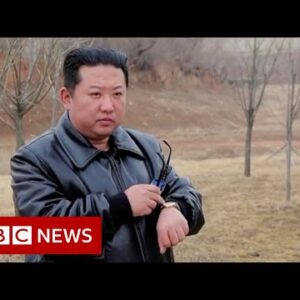 North Korea celebrates 10 years of Kim Jong-un's rule – BBC News