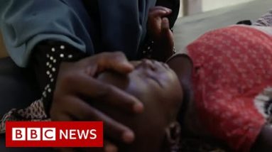Somalia now suffering its worst drought in 40 years, UN warns - BBC News