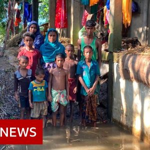 Bangladesh flooding survivors describe their swim to escape - BBC News