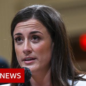 Donald Trump 'grabbed agent's car wheel' to join Capitol crowds, ex-aide claims – BBC News