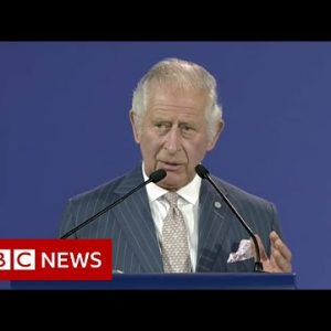 Diversity is Commonwealth's strength, Prince Charles says in Rwanda speech - BBC News