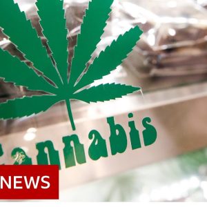 Thailand legalises cannabis growing and trade - BBC News