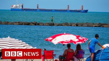 Ukraine demands the seizure of Russian-flagged grain ship off Turkey - BBC News
