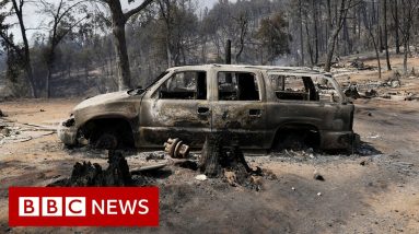 Californian family return to remains of their house after devastating wildfires - BBC News