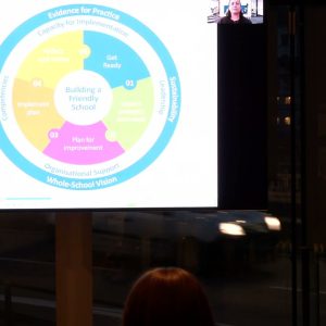 Effective implementation of bullying prevention programs in schools