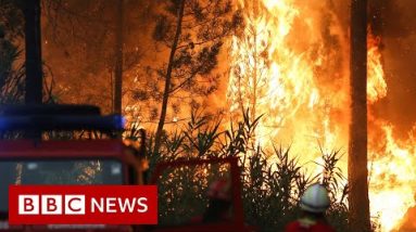 Europe heatwave fuels wildfires in Portugal, France and Spain - BBC News