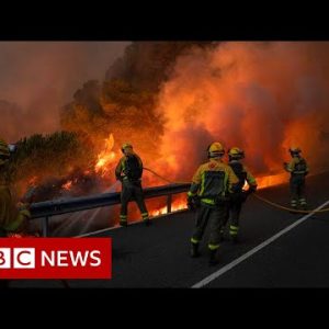 UK firefighters battle wildfires as extreme heat bakes Western Europe - BBC News
