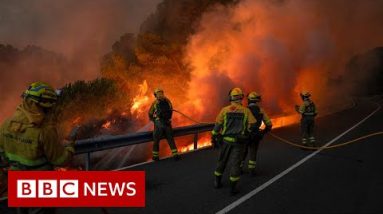 UK firefighters battle wildfires as extreme heat bakes Western Europe - BBC News