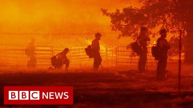 US consider declaring climate emergency as wildfires tear through California - BBC News