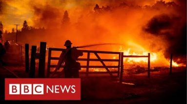 California wildfires destroy thousands of homes in sweltering temperatures - BBC News