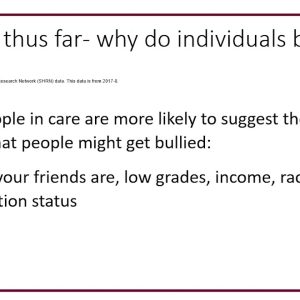 Selfies, Snapchat and Keeping Safe: How do looked after children engage online?