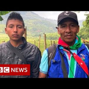 Colombia peace deal failing as violent gangs recruit vulnerable children - BBC News