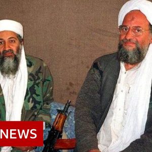 Al-Qaeda leader Ayman al-Zawahiri killed in US drone strike - BBC News