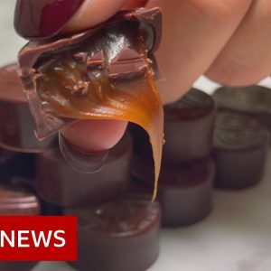 Can you replace cocoa in chocolate? – BBC News