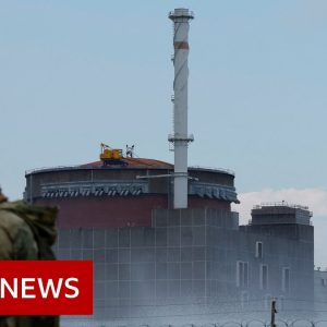 Russia rockets damaged part of Zaporizhzhia nuclear plant says Ukraine – BBC News