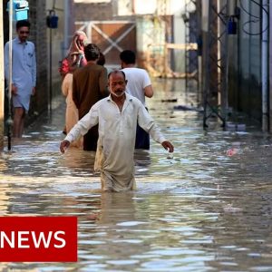 One third of Pakistan is under flood water, says minister - BBC News