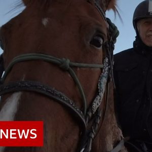 The doctor visiting patients in Italy on horse back  - BBC News