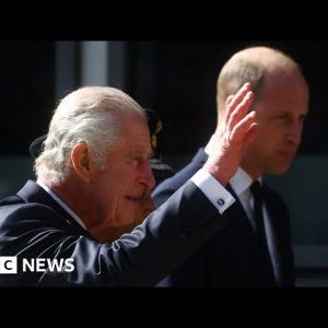 King Charles III and Prince William meet people in queue for Queen's lying-in-state – BBC News