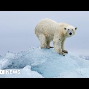 Climate change: The place on Earth heating fastest - BBC News