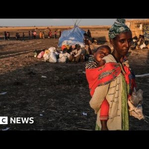 Ethiopian civil war leads to thousands of children's deaths through malnutrition - BBC News