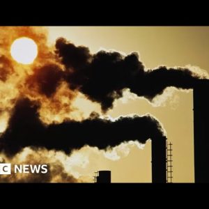 Climate summit opens with dire warnings about planet’s future - BBC News