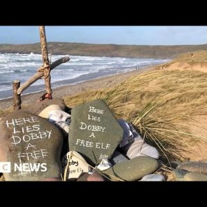 Grave of Harry Potter's Dobby the Elf saved - BBC News