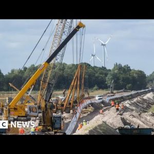 How did Germany end its reliance on Russian gas? - BBC News