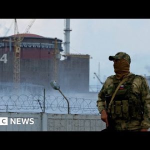 Shelling at Ukraine's Zaporizhzhia nuclear plant must stop, says UN watchdog - BBC News