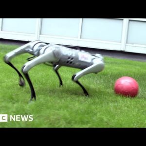 How mini Cheetah robot learns to play football - BBC News
