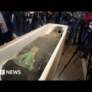 Looted ancient sarcophagus returned to Egypt – BBC News