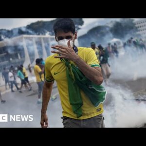What do the Bolsonaro protesters in Brazil want? - BBC News
