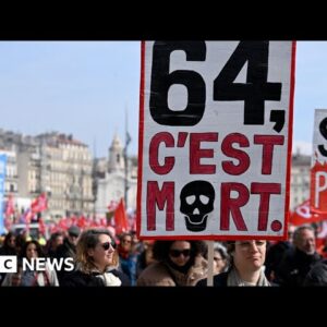 France pension reform strikes halt plane and train services - BBC News