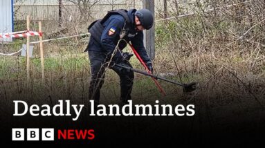 Ukraine war: The deadly landmines killing hundreds - BBC News