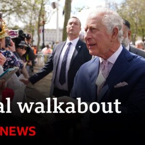 King Charles, Prince William and Kate greet public before Coronation - BBC News