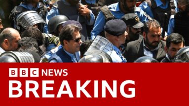 Imran Khan to be released from custody, court rules - BBC News