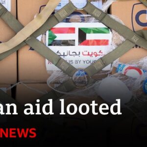 Sudan: Millions of dollars worth of food aid looted, The World Food Programme says - BBC News