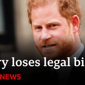 Prince Harry loses legal challenge over security - BBC News