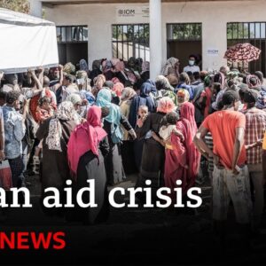 Sudan humanitarian crisis intensifies as ceasefire is breached - BBC News