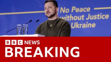 Ukraine's President Zelensky speaks at The Hague- BBC News