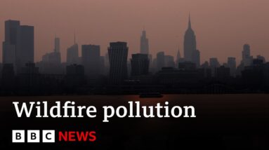 Canada wildfires blanket North American cities in smoke - BBC News