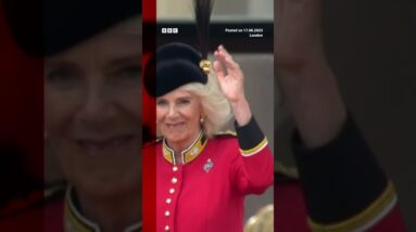 Red Arrows fly over Buckingham Palace for King Charles's birthday. #Shorts #KingCharles #BBCNews