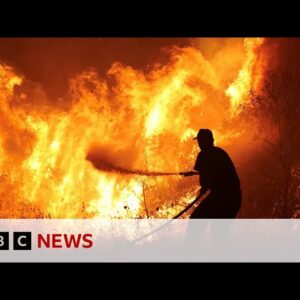 Hundreds of firefighters continue to battle wildfires across Europe  - BBC News