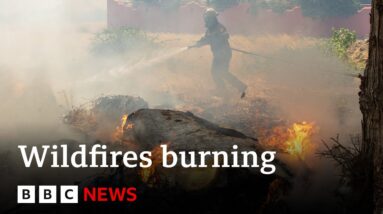 Greece fires: Thousands forced to flee 'disaster film' wildfires - BBC News