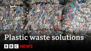 How can we fix our plastic waste problem? - BBC News