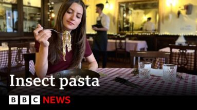 Italian food: Insect pasta divides diners - BBC News
