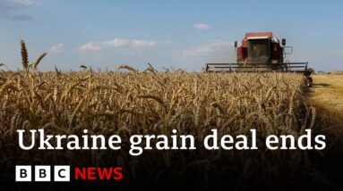 Russia ends Ukraine grain deal after Crimea bridge attack - BBC News