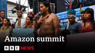 Amazon rainforest: Leaders meet in Brazil for summit - BBC News